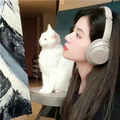 菜鸟老板来上工